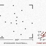 First Strike FS Rounds - 250 Count - Image 7